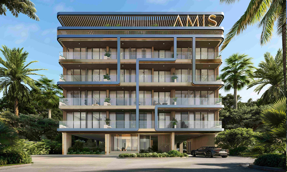AMIS-1.jpg